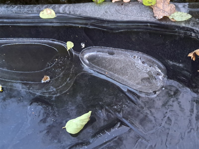 Luftblasen im Eis eines Wasserbeckens